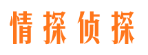 清新市私家侦探